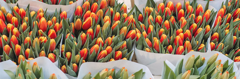 Картинка слайда3