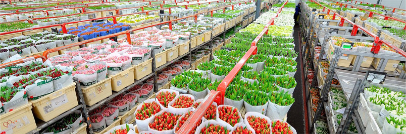 Картинка слайда4