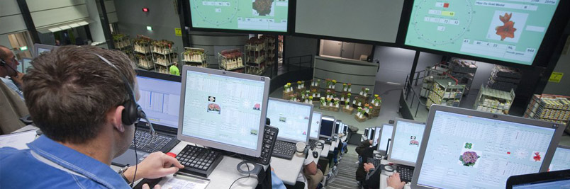 Картинка слайда5