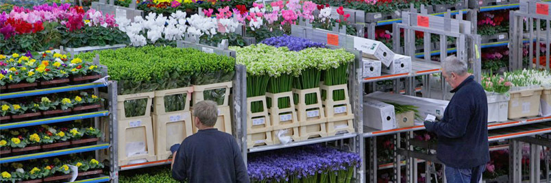 Картинка слайда5