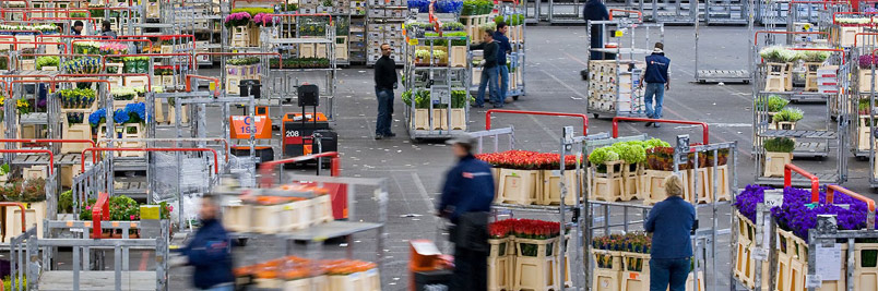 Картинка слайда5