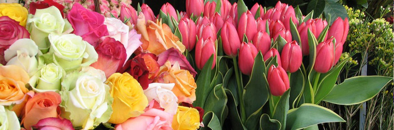 Картинка слайда4