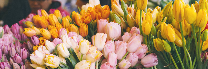 Картинка слайда5