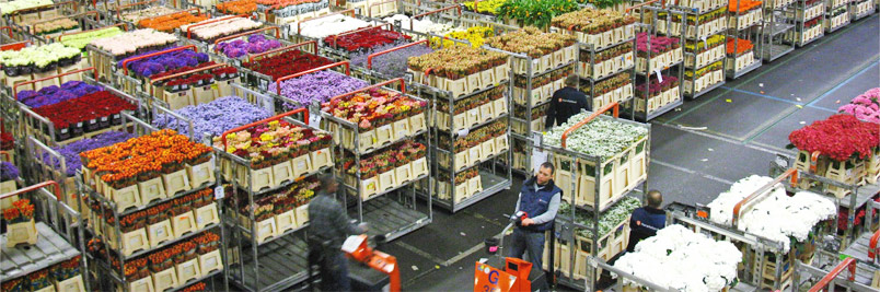 Картинка слайда3