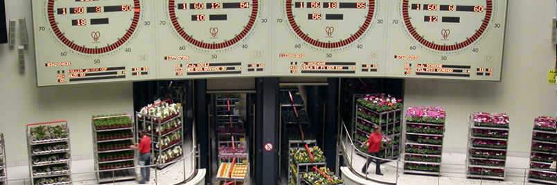 Картинка слайда5