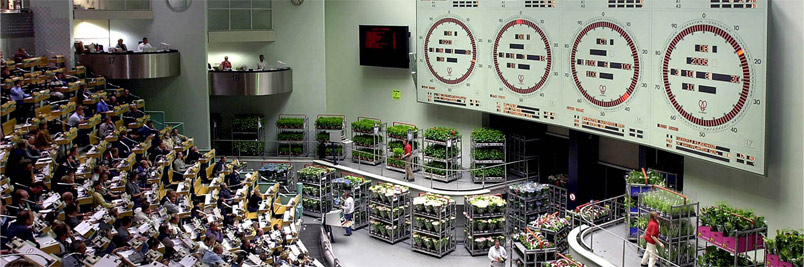 Картинка слайда5